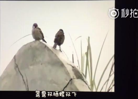 BGM真的太重要了